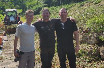 OptimaMed Salzerbad: Großputz für den Insektenschutz