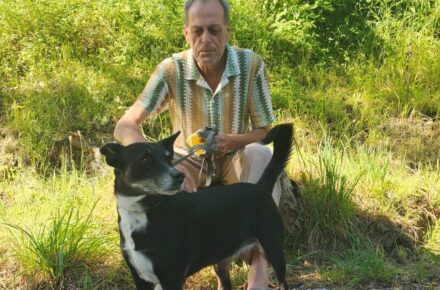 Pfoten-Park für Hunde im Gesundheitsresort Salzerbad