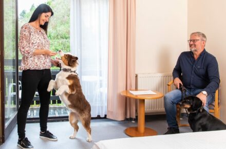 Kur und Urlaub mit Hund in Niederösterreich Kur und Urlaub mit Hund in Niederösterreich